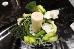 DSCN0659
