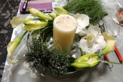 DSCN0666