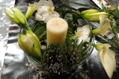 DSCN0667