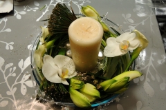 DSCN0668