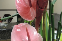 DSCN1034