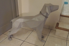 DSCN3623